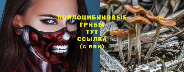 хмурый Армянск